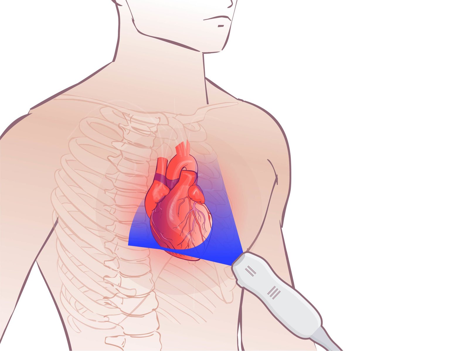 What is Echocardiography?